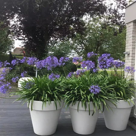 Aan De Vecht Nederhorst den Berg