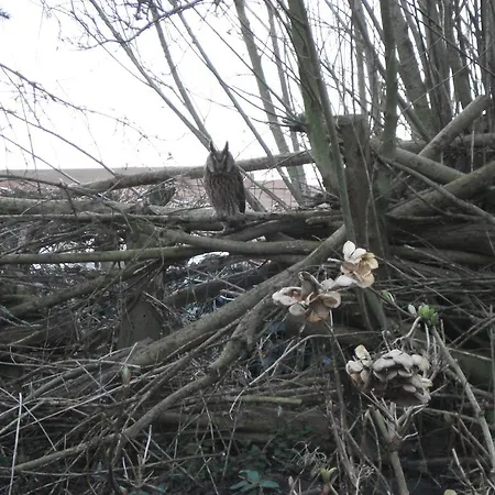 Aan De Vecht Nederhorst den Berg