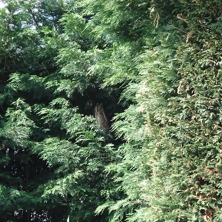 Дом отдыха Aan De Vecht