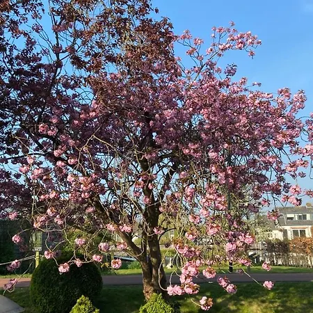 Vakantiehuis Aan De Vecht