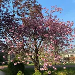 Ferienhaus Aan De Vecht