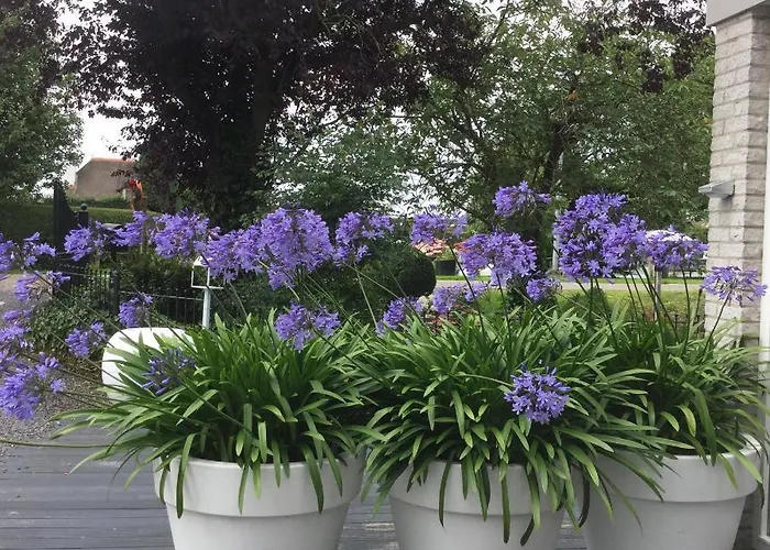 Aan De Vecht Nederhorst den Berg