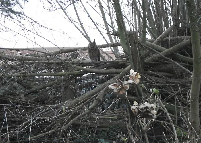 Aan De Vecht Nederhorst den Berg
