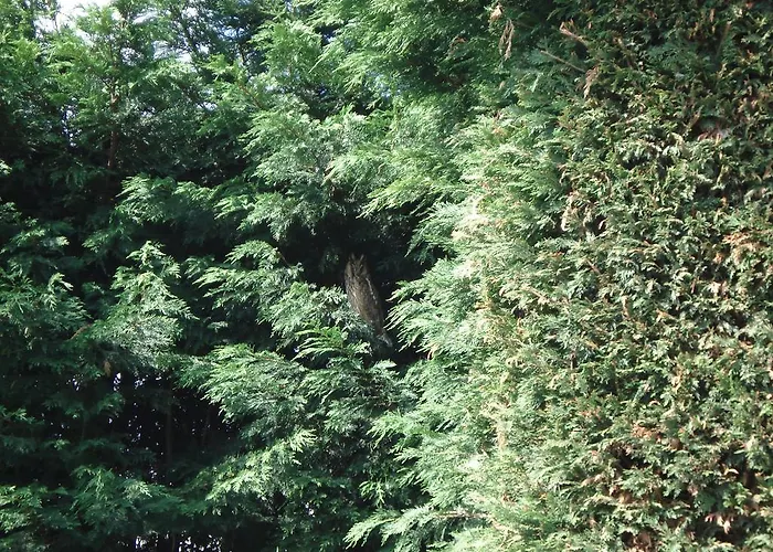 Дом отдыха Aan De Vecht