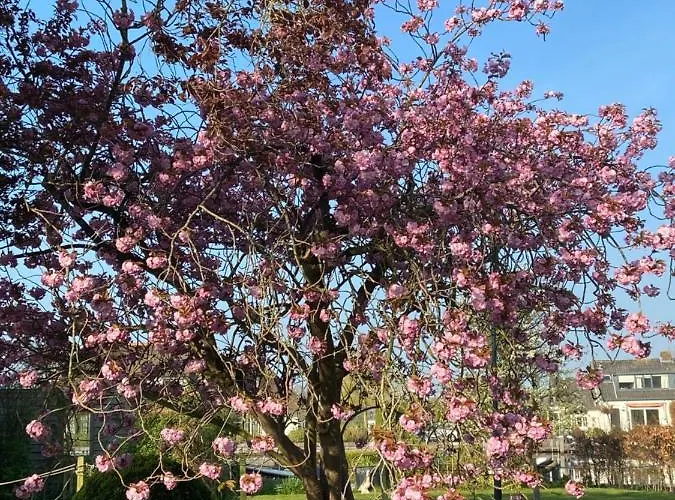 Дом отдыха Aan De Vecht